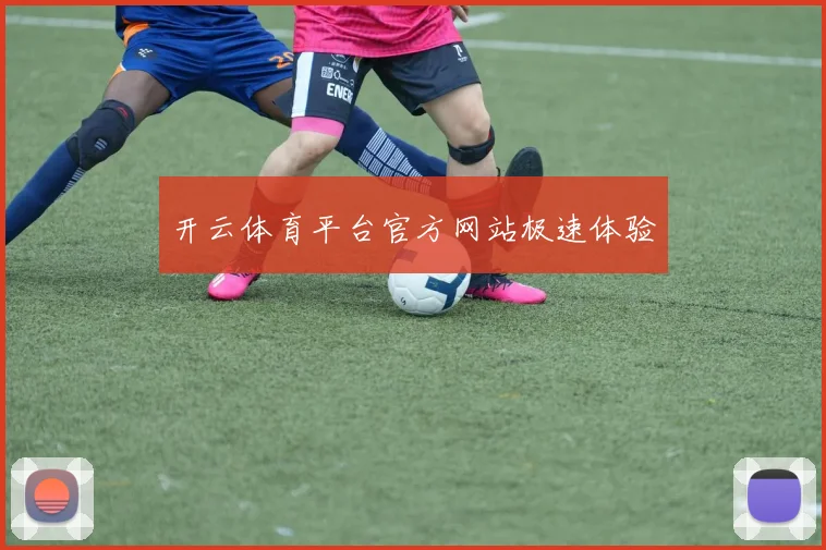 开云体育平台官方网站极速体验