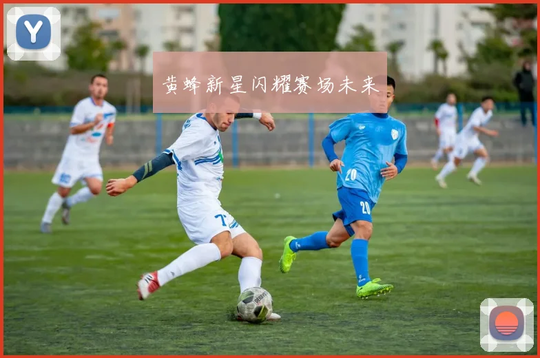 黄蜂新星闪耀赛场未来