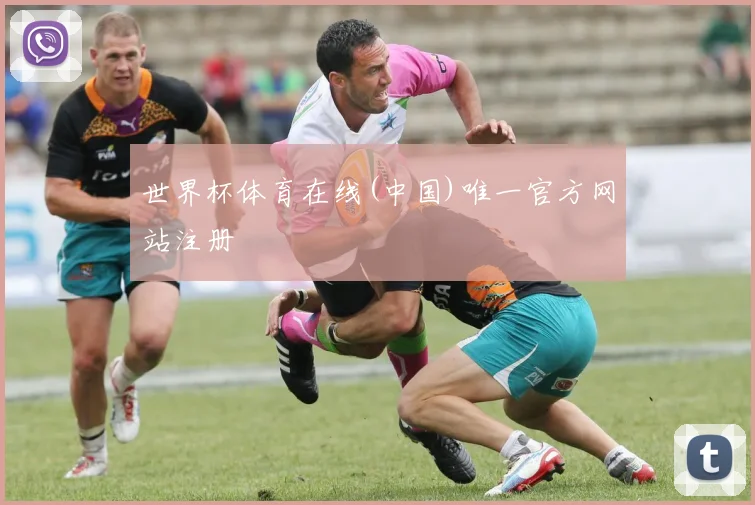 世界杯体育在线(中国)唯一官方网站注册