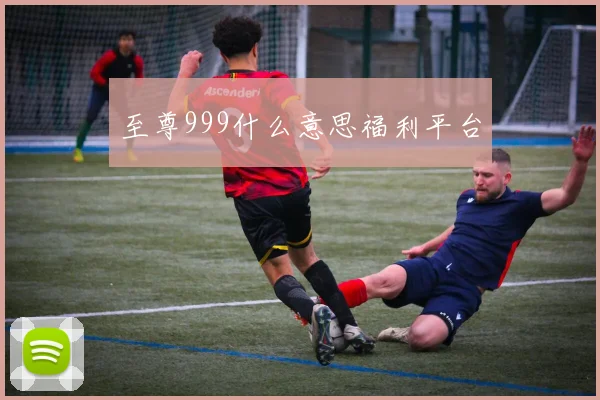 至尊999什么意思福利平台
