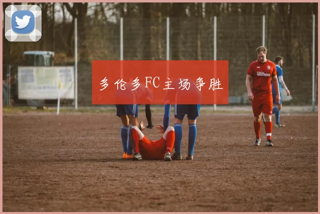 多伦多FC主场争胜