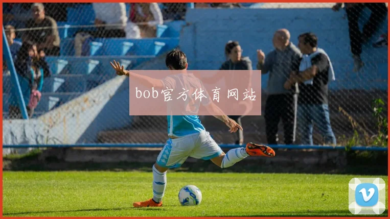 bob官方体育网站