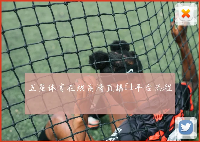 五星体育在线高清直播f1平台流程