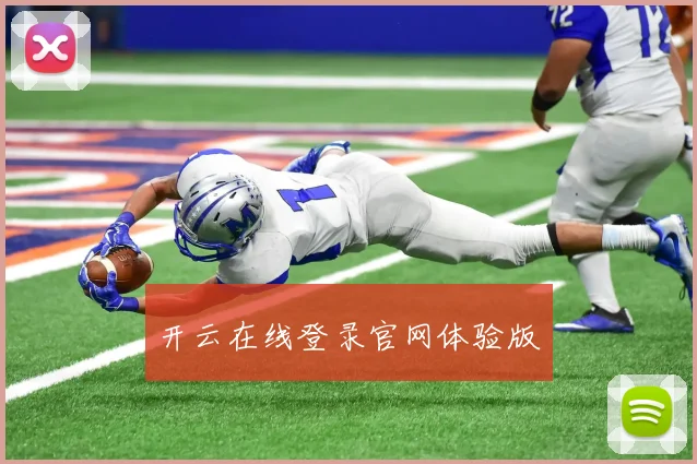开云在线登录官网体验版