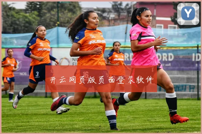 开云网页版页面登录软件