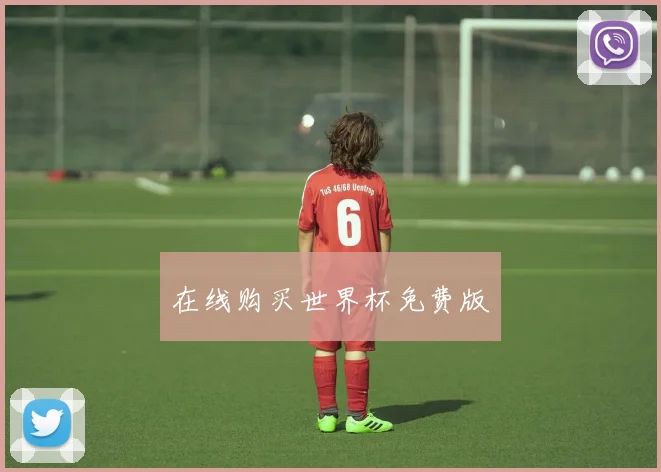 在线购买世界杯免费版