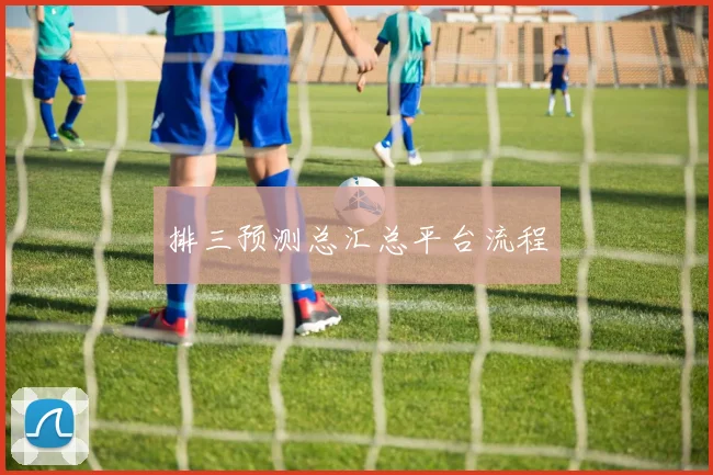 排三预测总汇总平台流程