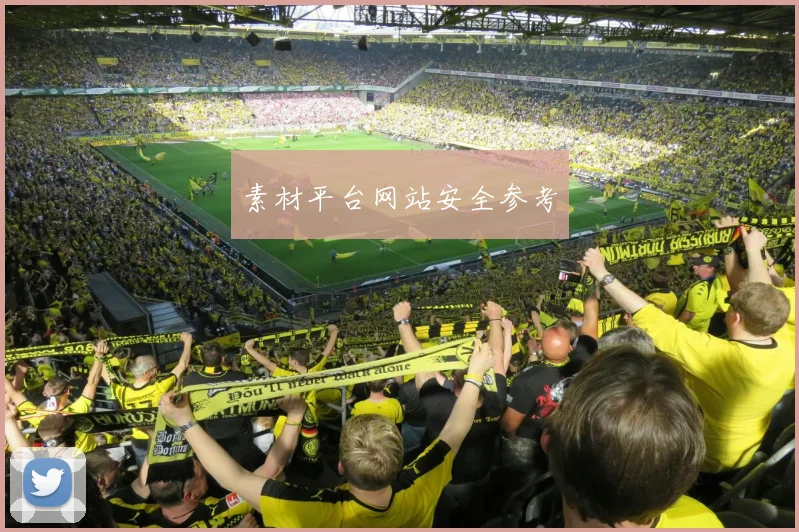 素材平台网站安全参考