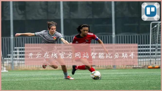 开云在线官方网站智能比分助手