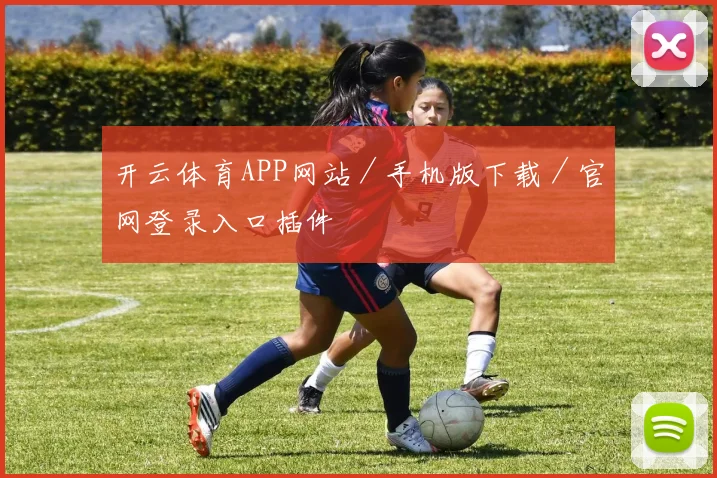 开云体育APP网站／手机版下载／官网登录入口插件