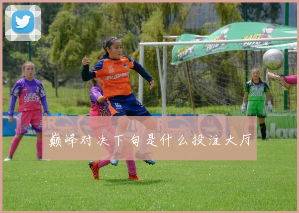 巅峰对决下句是什么投注大厅
