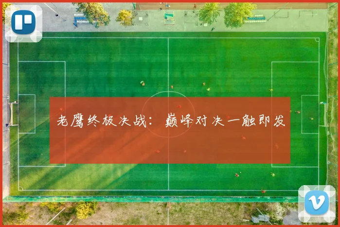 老鹰终极决战:巅峰对决一触即发