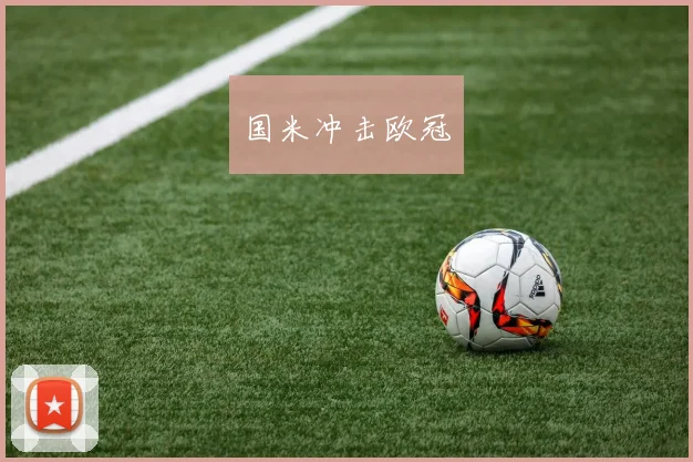 国米冲击欧冠