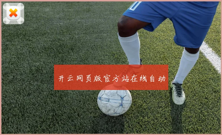 开云网页版官方站在线自动