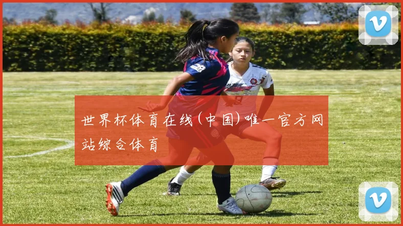 世界杯体育在线(中国)唯一官方网站综合体育