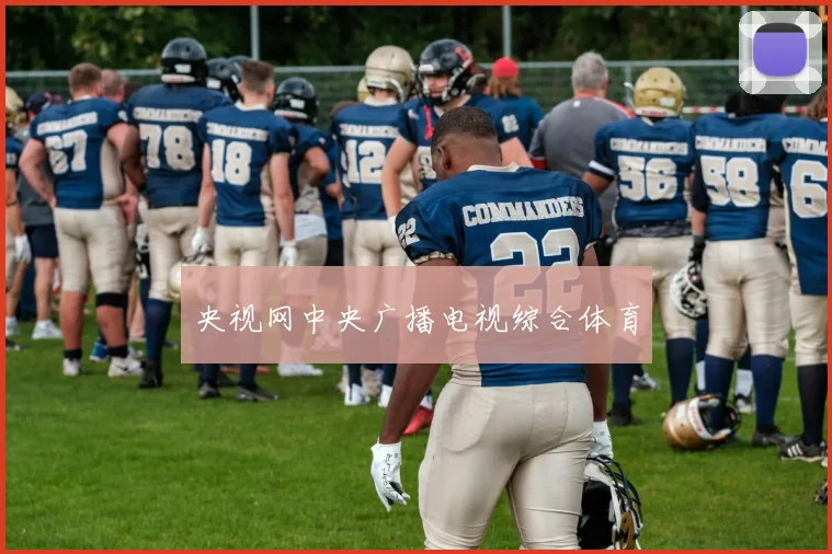 央视网中央广播电视综合体育