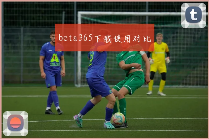 beta365下载使用对比