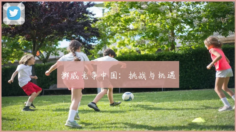 挪威竞争中国：挑战与机遇