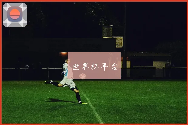 世界杯平台