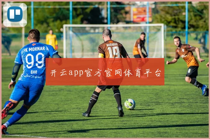 开云app官方官网体育平台