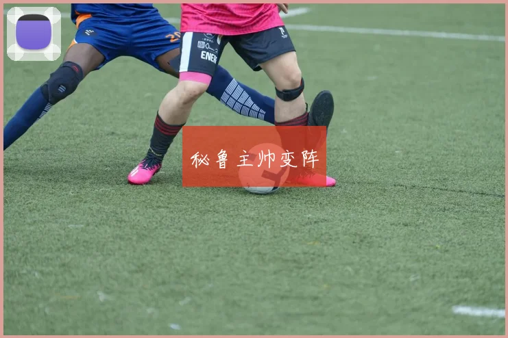 秘鲁主帅变阵