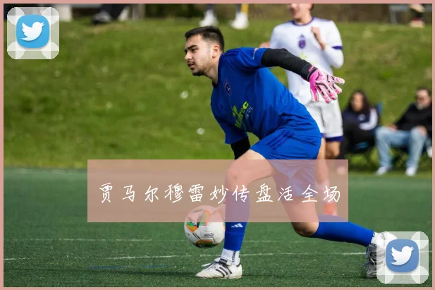 贾马尔穆雷妙传盘活全场