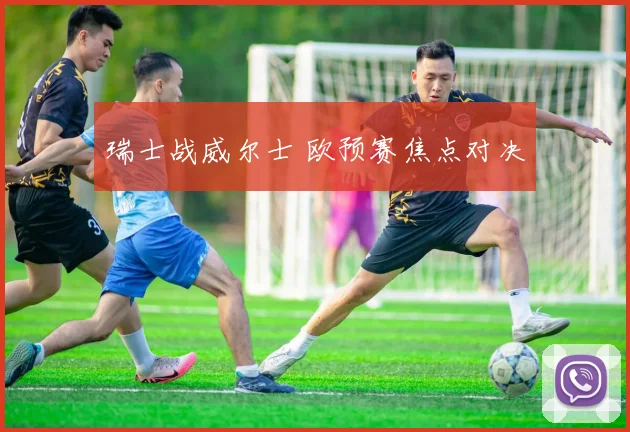 瑞士战威尔士 欧预赛焦点对决