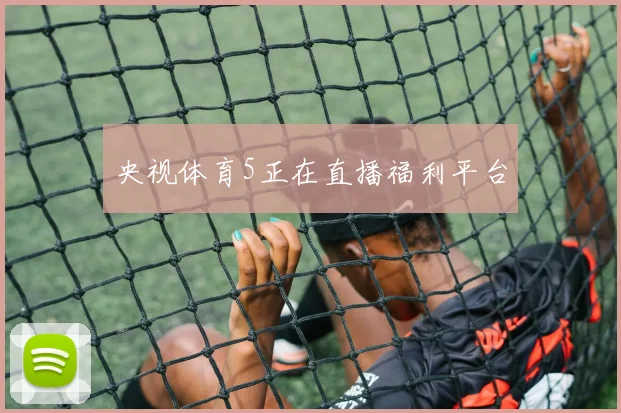 央视体育5正在直播福利平台
