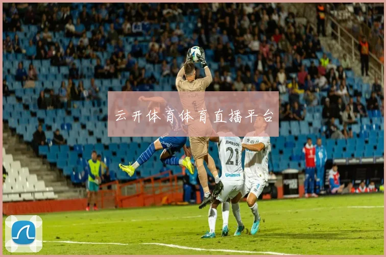 云开体育体育直播平台