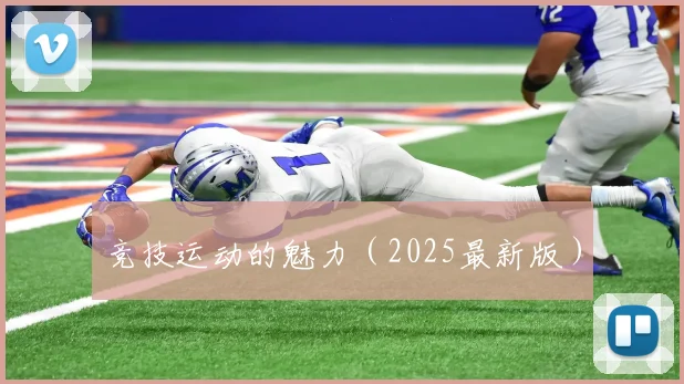 竞技运动的魅力（2025最新版）