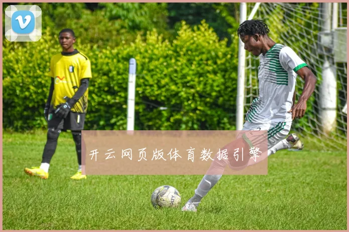 开云网页版体育数据引擎