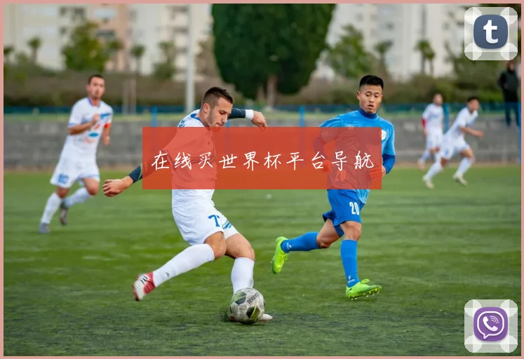 在线买世界杯平台导航