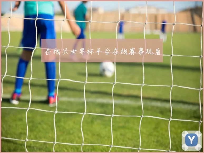 在线买世界杯平台在线赛事观看