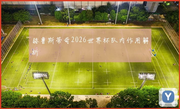 赫鲁斯蒂奇2026世界杯队内作用解析