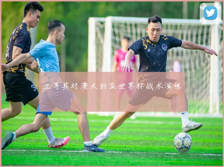土耳其对澳大利亚世界杯战术演练