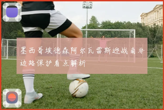 墨西哥埃德森阿尔瓦雷斯迎战南非边路保护看点解析