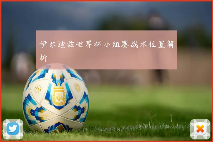 伊尔迪兹世界杯小组赛战术位置解析