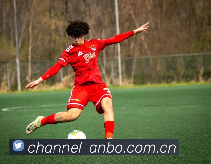 安博体育（中国）官方网站-ANBOSPORTS平台生态图