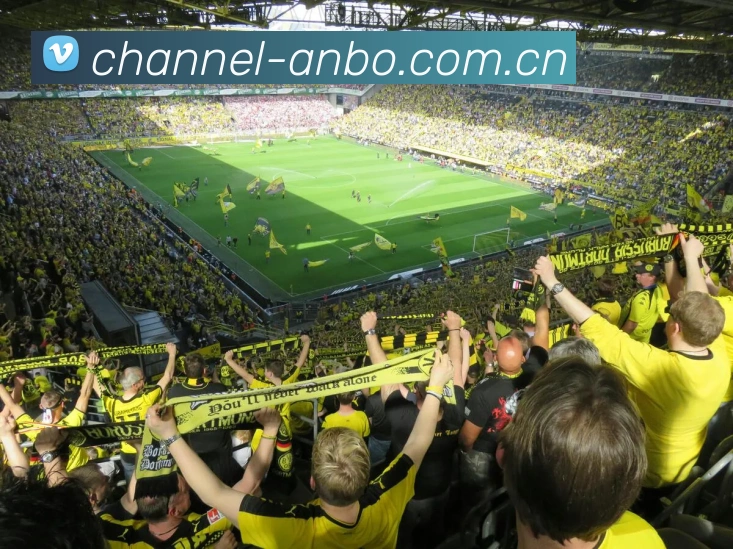 安博体育（中国）官方网站-ANBOSPORTS全站App