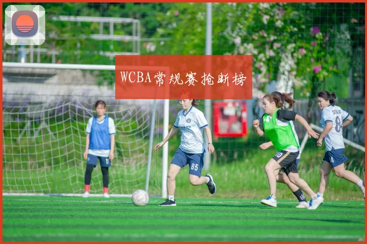 WCBA常规赛抢断榜
