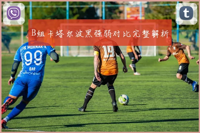 B组卡塔尔波黑强弱对比完整解析