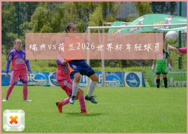 瑞典vs荷兰2026世界杯年轻球员