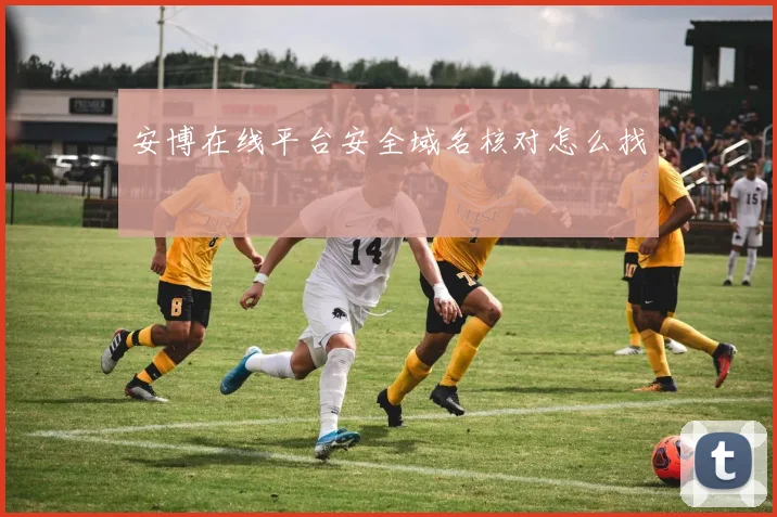 安博在线平台安全域名核对怎么找